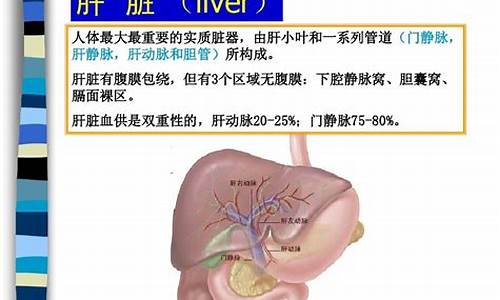 剖肝沥胆_剖肝沥胆的意思