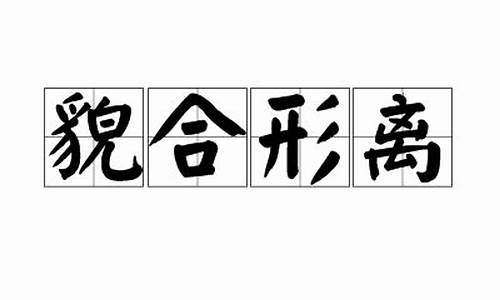 貌合形离的夫妻怎样_貌合形离