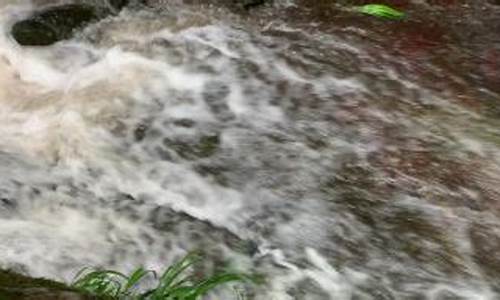 高山流水香烟多少钱一包_高山流水