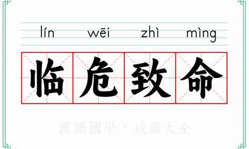 临危致命打三个数字_临危致命