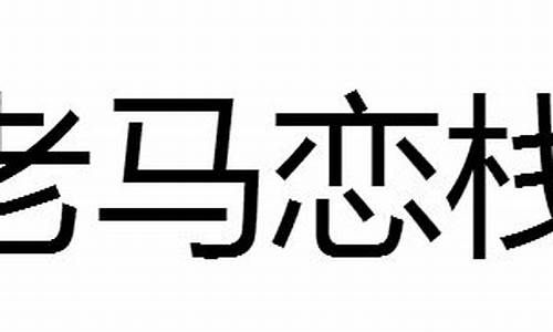 老马恋栈_老马恋栈造句