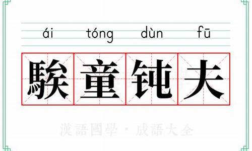 騃童钝夫怎么读_騃童钝夫