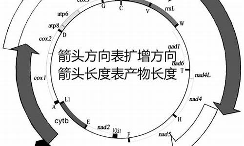 引物连类_引物连类的引