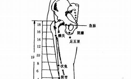 急脉缓受-急脉缓受指什么生肖